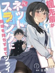 蜂蜜与四叶草